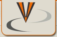 Venus International Construction Logo