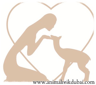 Human and Animal Reiki Dubai Logo