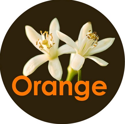 Orange Beauty Salon & Spa