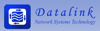 DATALINK Network Systems Technology Logo
