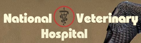 National Veterinary Hospital Logo