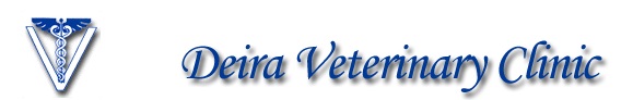 Deira Veterinary Clinic Logo