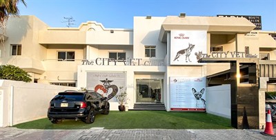 The City Vet Clinic