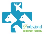 Professional Veterinary Hospital Logo