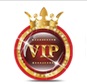 VIP-Planet Trading LLC Logo
