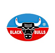 Black Bulls  Logo