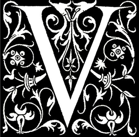 Vena Collections Logo