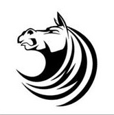 COLT Business Consultancy & Travel Services Logo