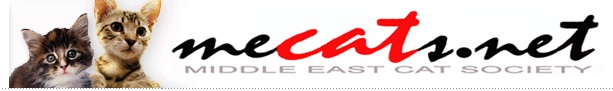 MECATS The Middle East Cat Society Logo