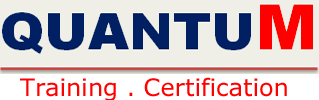 Quantum  Professional Academy Logo