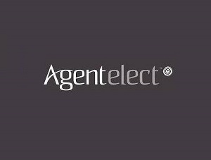 Agent Elect Travels Logo