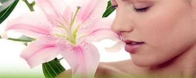 Tangled Ladies Salon & Spa