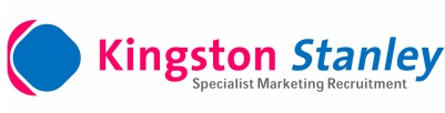 Kingston Stanley Logo