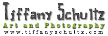 Tiffany Schultz Art & Photography Logo