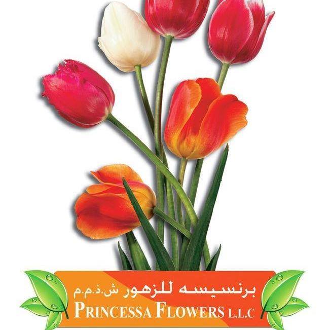 Princessa Flowers Logo