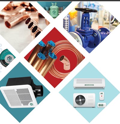 Cannelle Holdings FZCO