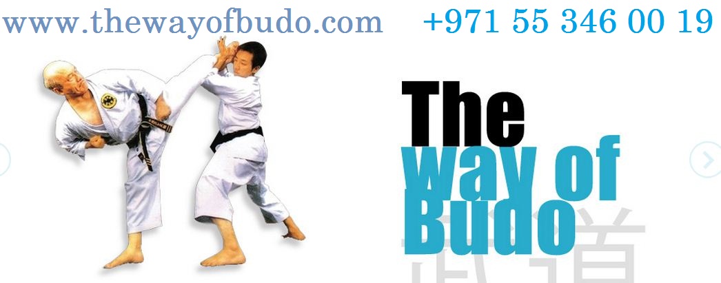 KARATE  ACADEMY Logo