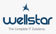Wellstar Logo