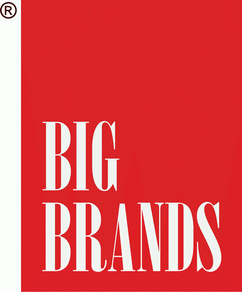 Big Brands Logo