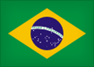 THE EMBASSY OF BRAZIL IN ABU DHABI Logo