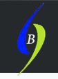 Branco Electronics Logo