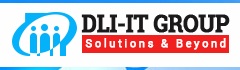 Dream Land Innovation (DLI) Systems LLC Logo
