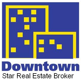 Downtown Star Real Estate Logo