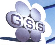 Gulf Steel Strands FZE Logo