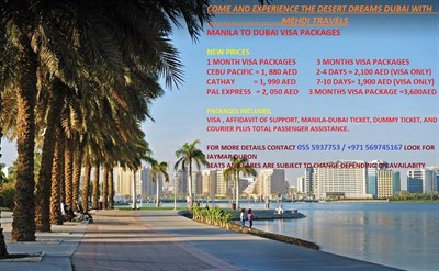 Mehdi Travels L.L.C.