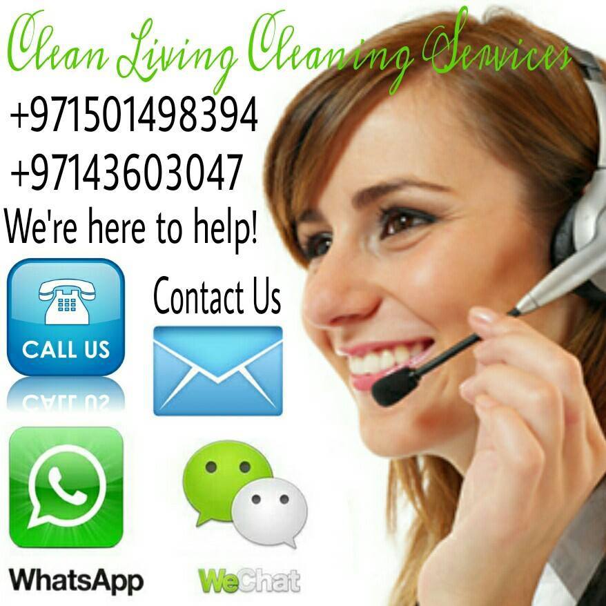 Clean Living Cleaning Services Logo