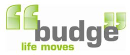 Budge Recruitment FZ LLC   Logo