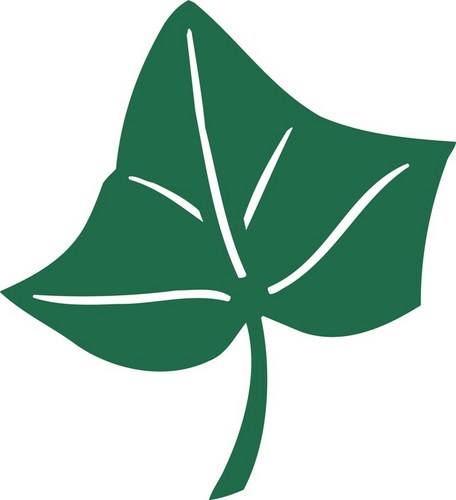 The Ivy Dubai Logo