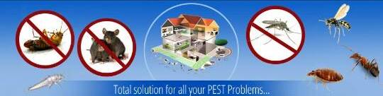 Al Buraq Cleaning Services and Pest Control LLC Logo