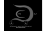 Deva Cars Logo