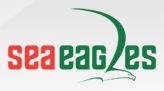 Sea Eagles Shipping LLC - Dubai Logo