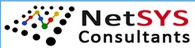 NetSYS  Logo