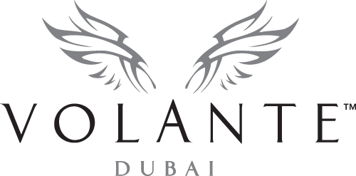 Volante Logo