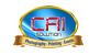 Cai Solution Logo