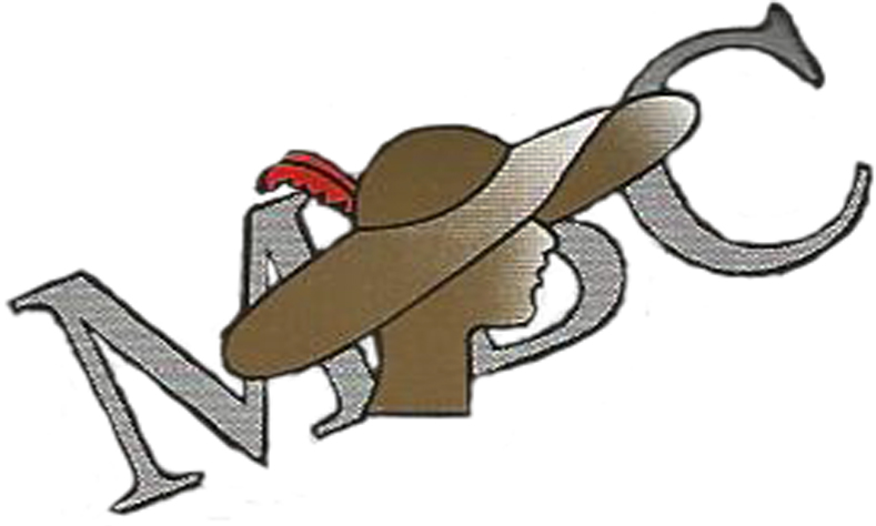 Mega Beauty Centre Logo