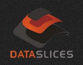 DATASLICES Logo