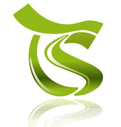 Times Square Events LLC Logo