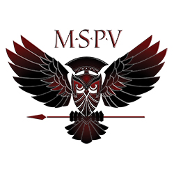 Minerva Special Purpose Vehicles LLC (MSPV) Logo