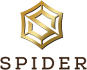 Spider Business Center Logo