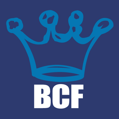 Blue Crown Group Logo