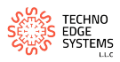 Techno Edge Systems L.L.C Logo
