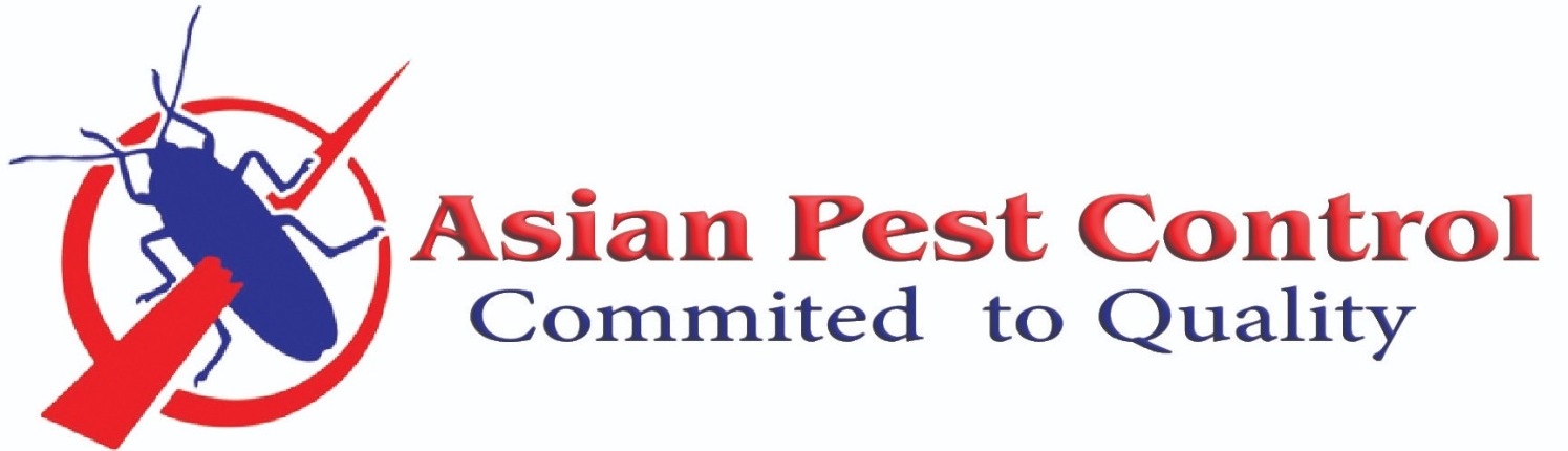 Asian Pest Control Logo