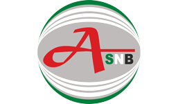 ASNB Real Estate Management L.L.C Logo