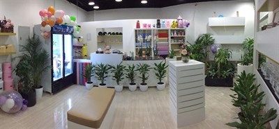 Golden Tulip Flowers