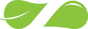 Zaatar w Zeit - Motor City Branch Logo