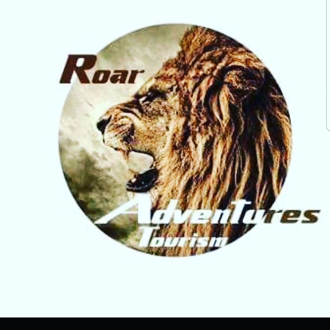 Roar Adventure Tours Logo